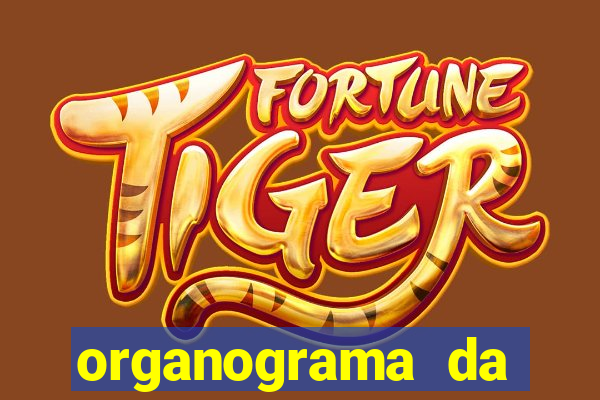 organograma da cacau show